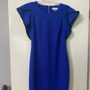 Never worn Calvin Klein dress. Size 2.